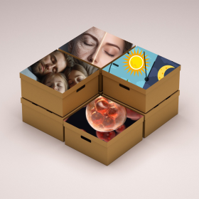 Celý protokol: Denní rytmy pohledem Zdraví a dlouhověkosti